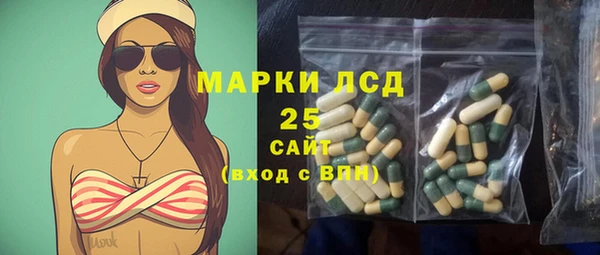 индика Алексин