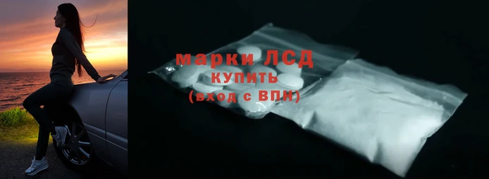 крисы Алзамай