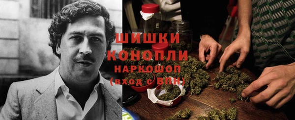 гидропоника Абаза
