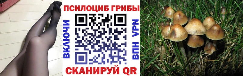 Галлюциногенные грибы мицелий как найти закладки Никольск